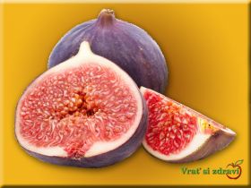 regulatpro-02-fiky.jpg